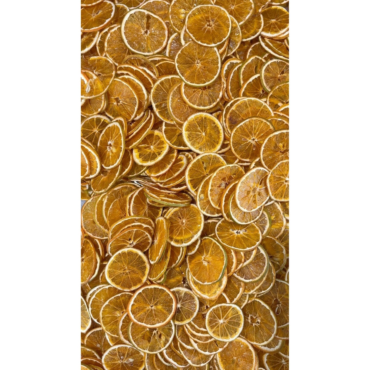 Food Service Bag - Oranges