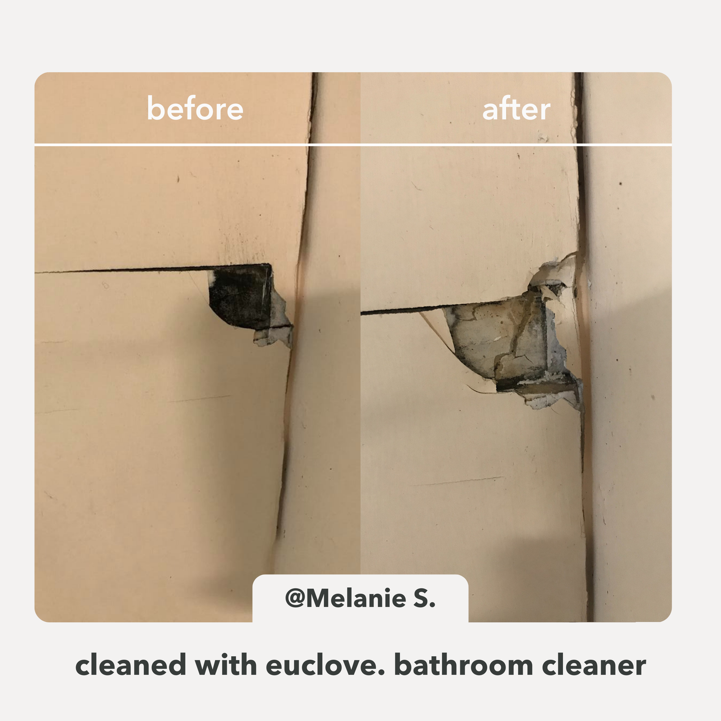 Daily Clean Bundle