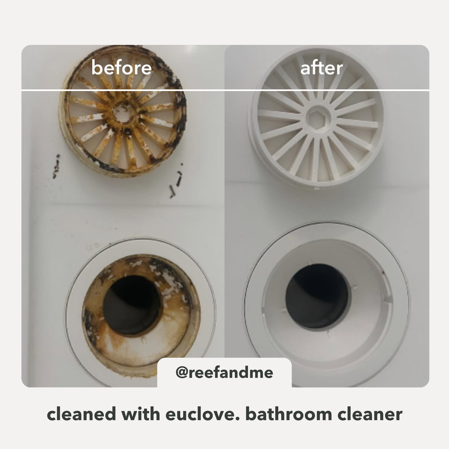 Bathroom & Mould Cleaner with Clove oil - Clean Conscious Award winner 2025