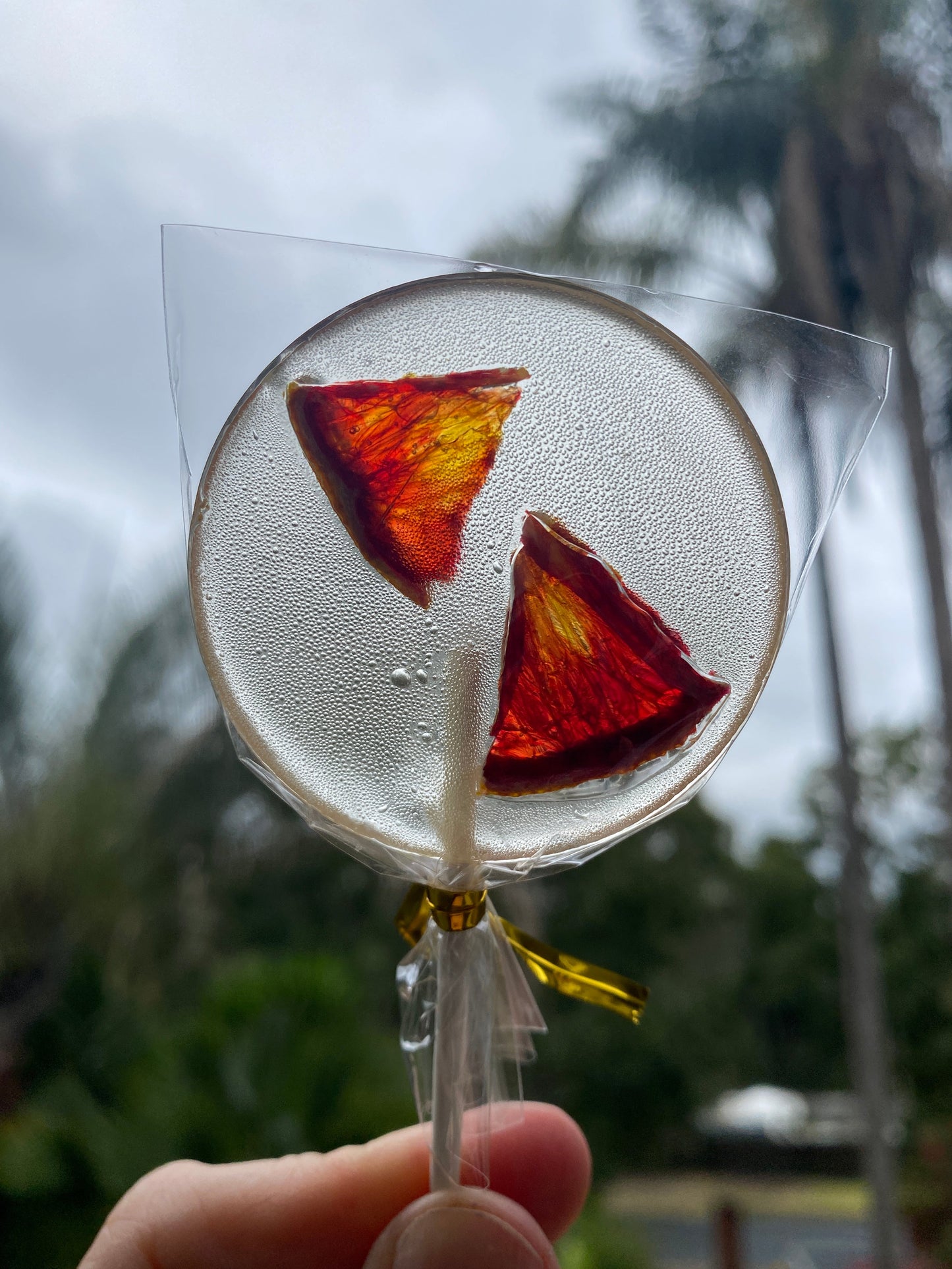Dehydrated Blood Oranges