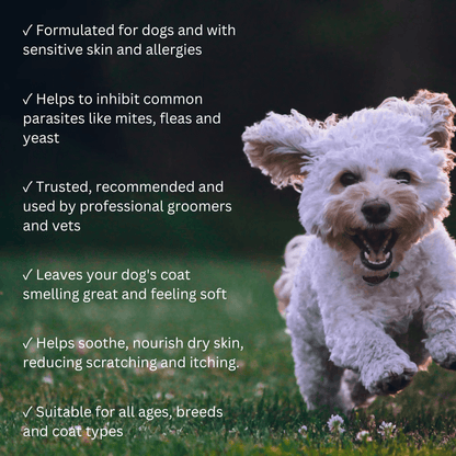 Natural Dog Shampoo - Salon grade formulation