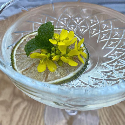 Dehydrated Limes