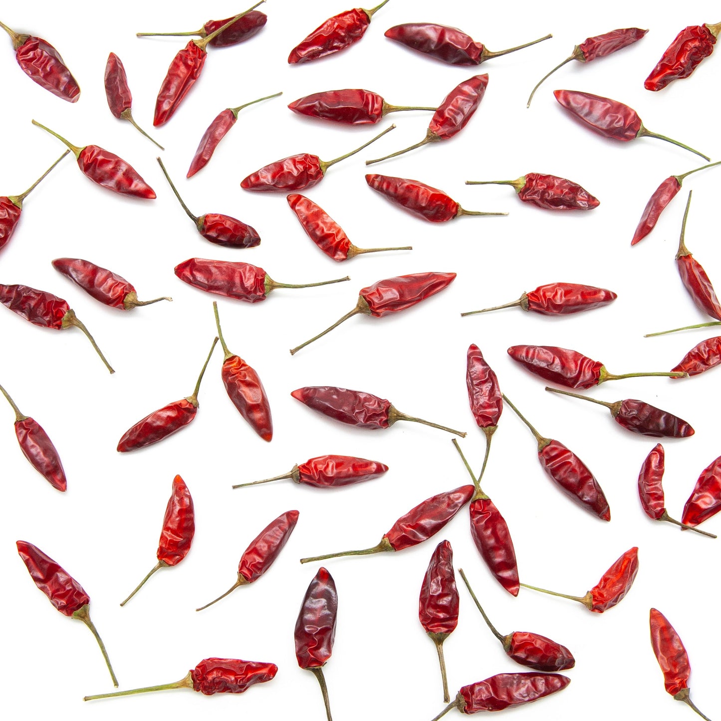 Food Service Bag - Dehydrated Chillies