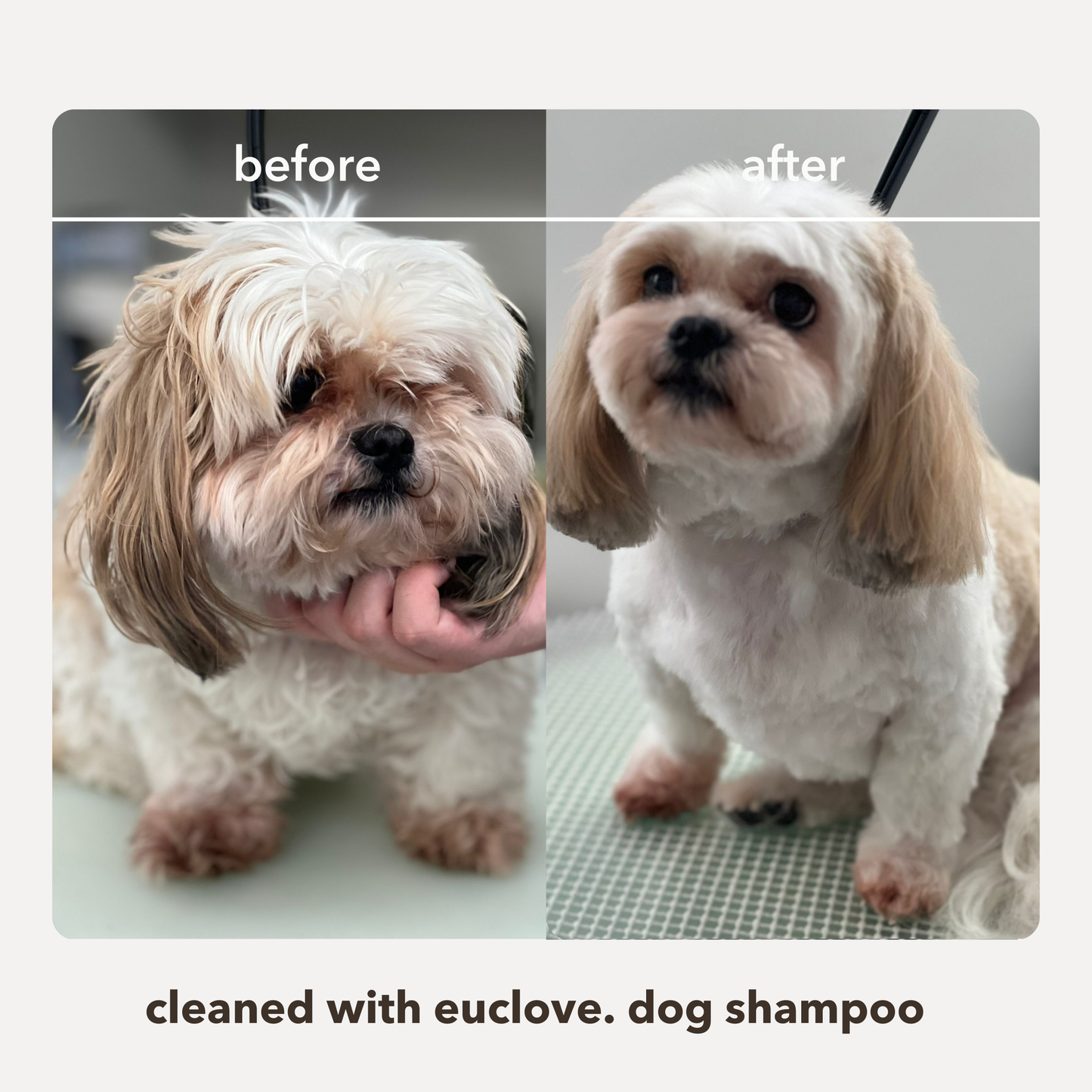 Natural Leave in Conditioner & Detangler 2-in-1 for Dogs