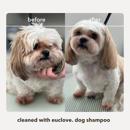 Natural Leave in Conditioner & Detangler 2-in-1 for Dogs
