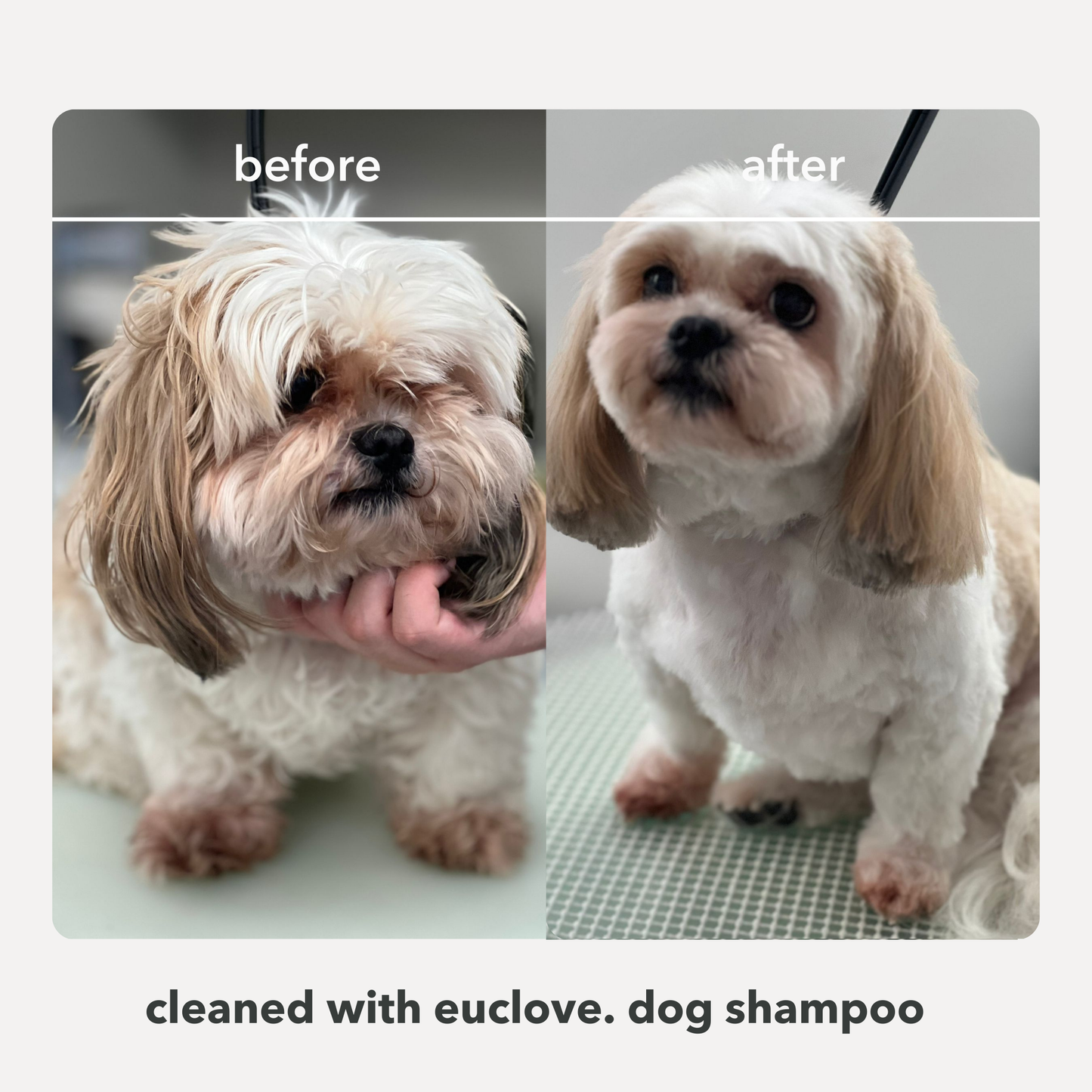 Natural Dog Shampoo - Salon grade formulation