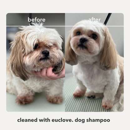 Natural Dog Shampoo - Salon grade formulation