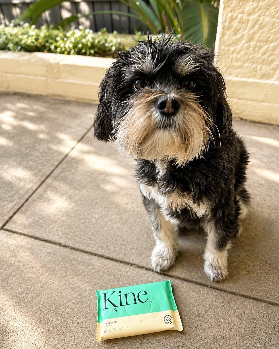 Pet Cloths
