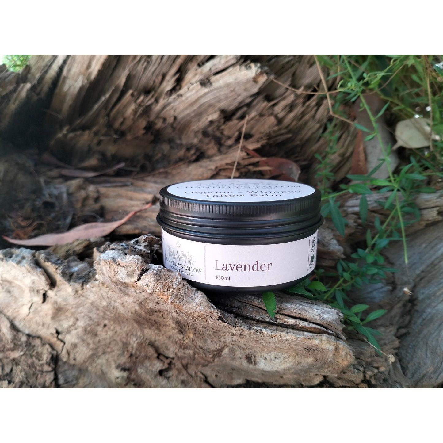 Lavender & Olive Tallow Balm
