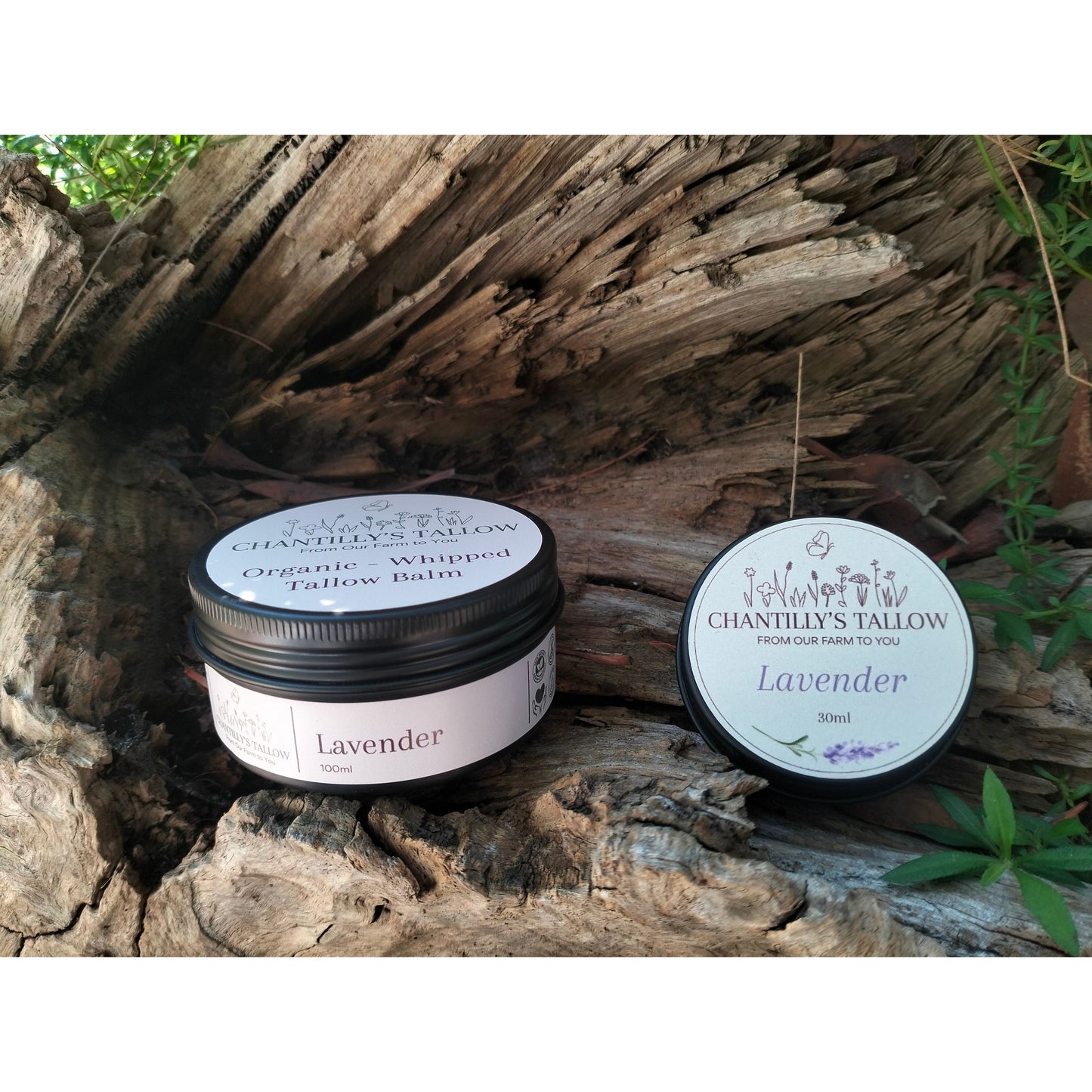 Lavender & Olive Tallow Balm