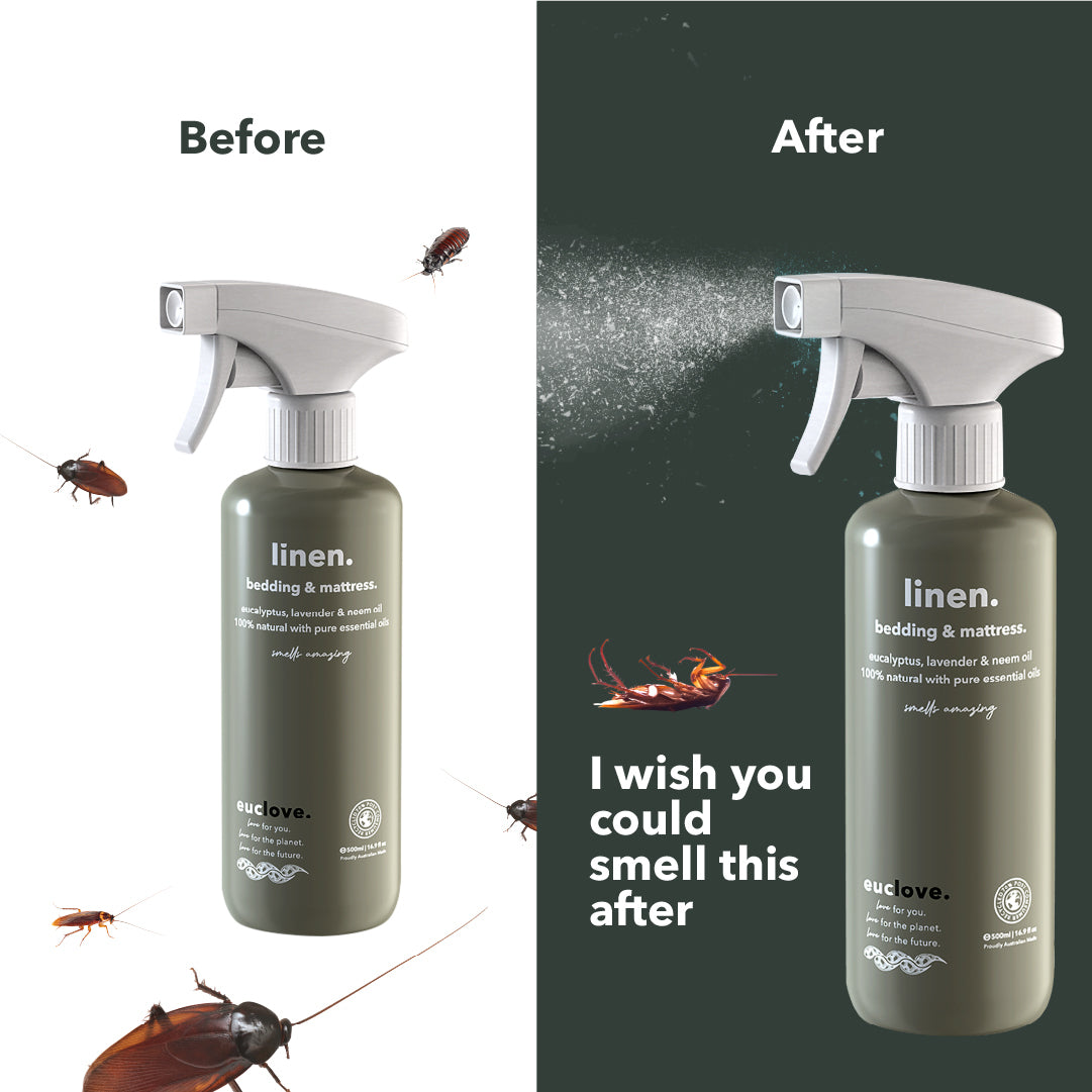 Everyday Refill Bundle
