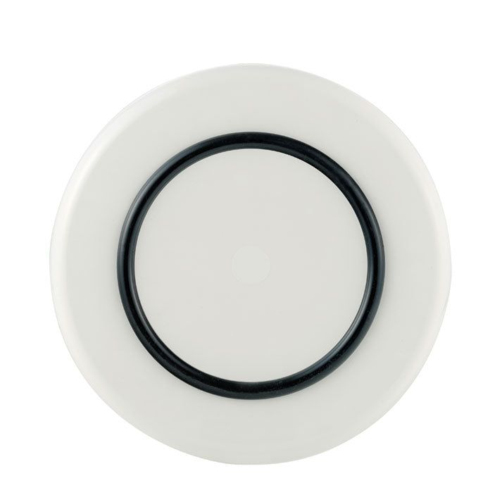 Palm Non-slip Forever Unbreakable Large Plate 25cm dia.