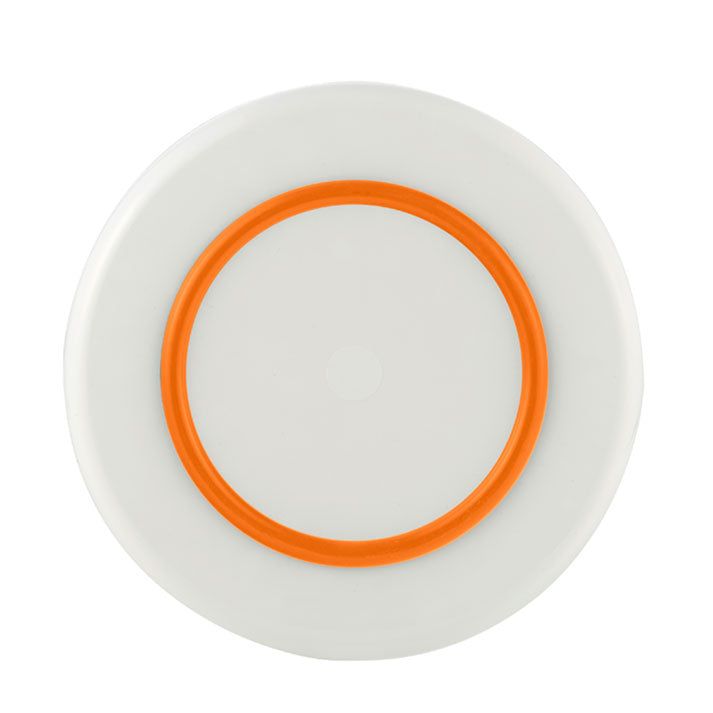 Palm Non-slip Forever Unbreakable Large Plate 25cm dia.