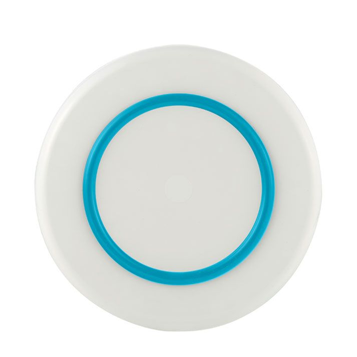 Palm Non-slip Forever Unbreakable Large Plate 25cm dia.