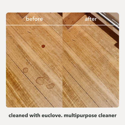 Switch To Non-Toxic Cleaning