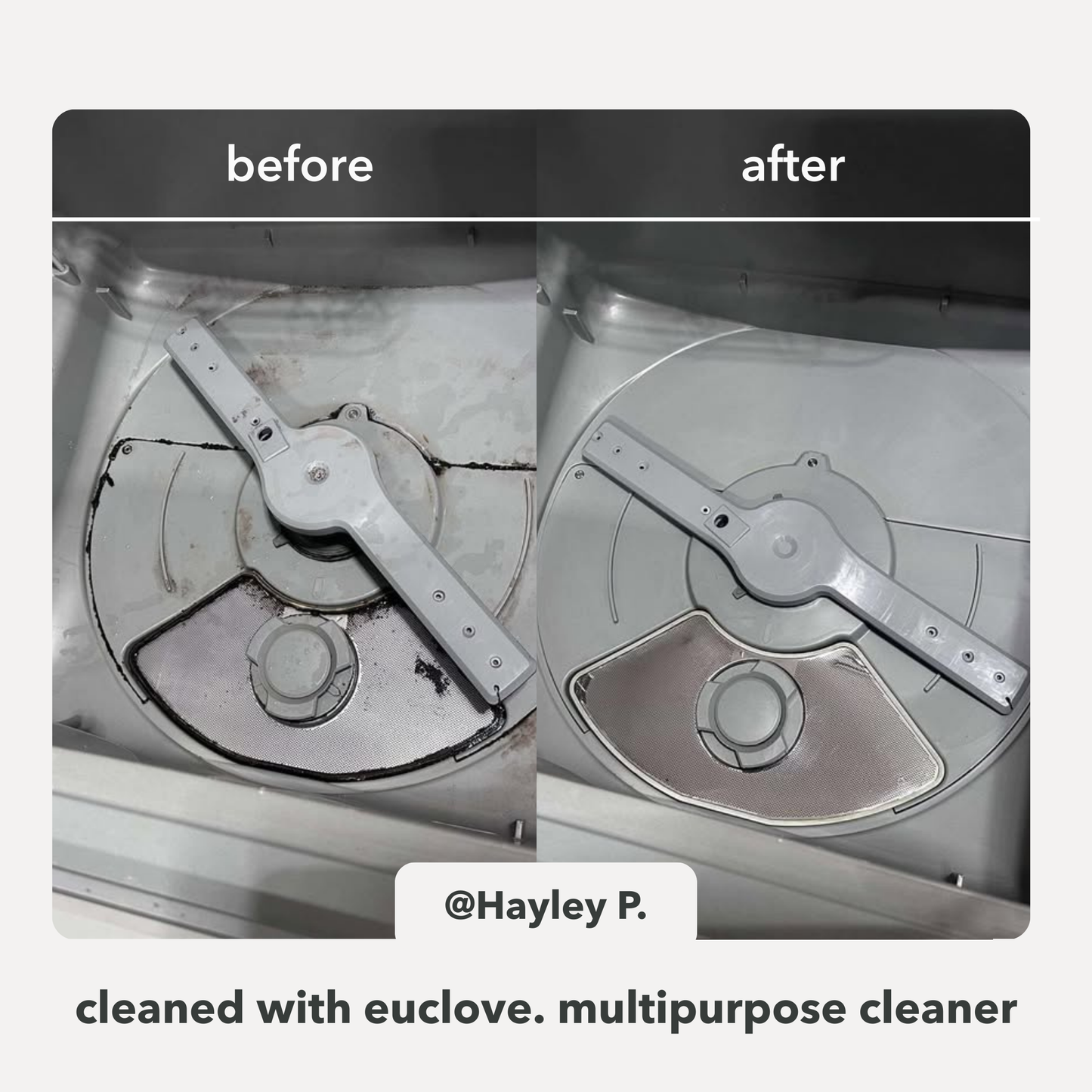 Daily Clean Bundle