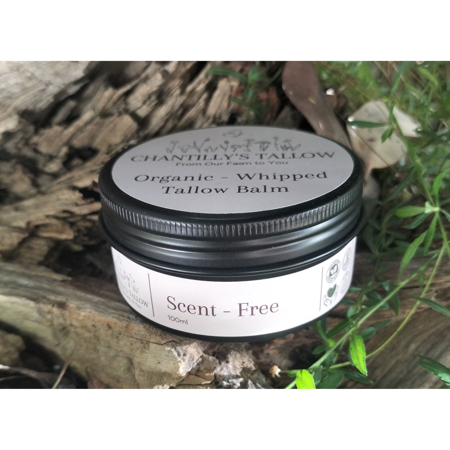 Scent-Free & Olive Tallow Balm