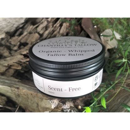 Scent-Free & Olive Tallow Balm