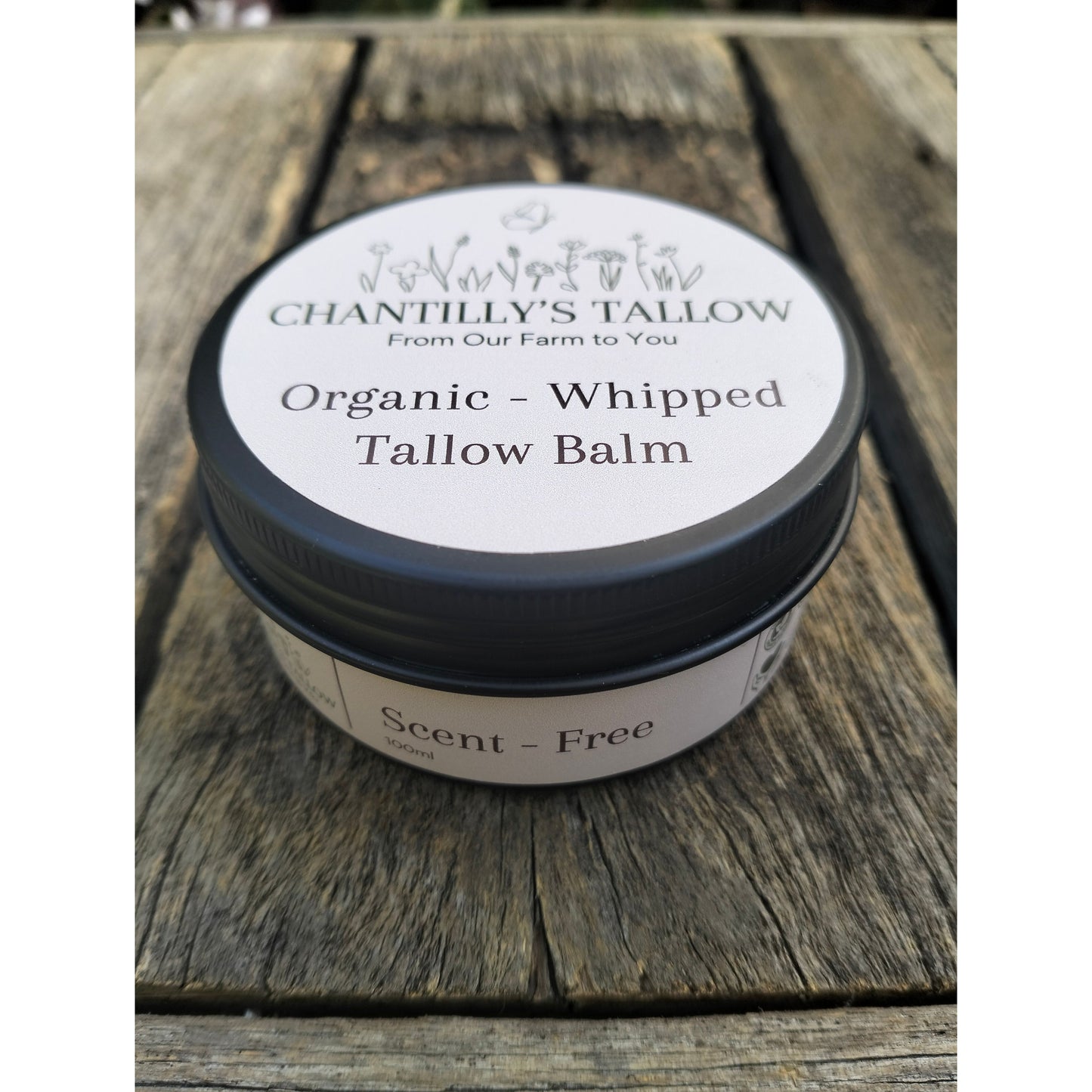 Scent-Free & Olive Tallow Balm