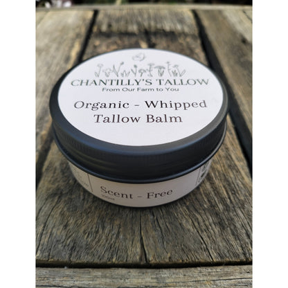 Scent-Free & Olive Tallow Balm