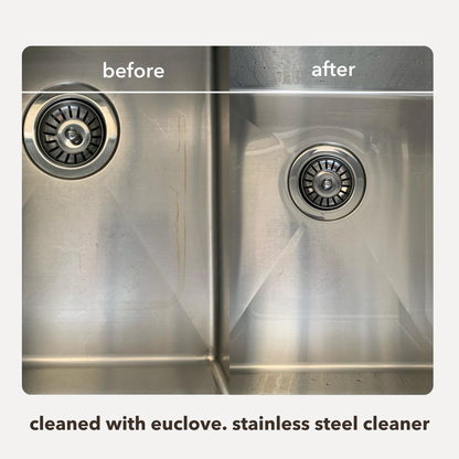 Stainless Steel Cleaner 5 Litre Refill Value Pack