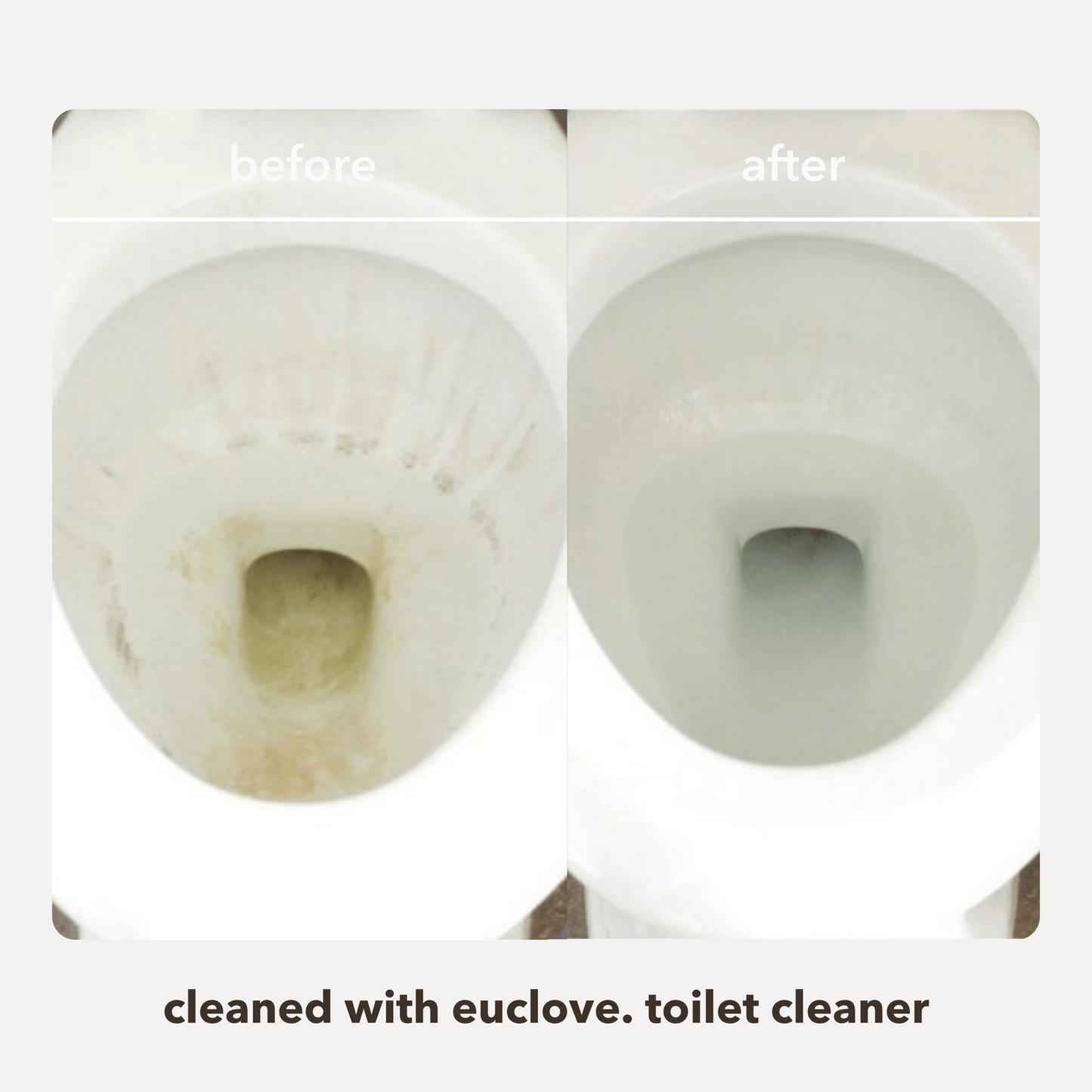 Natural Toilet Cleaner & odour remover