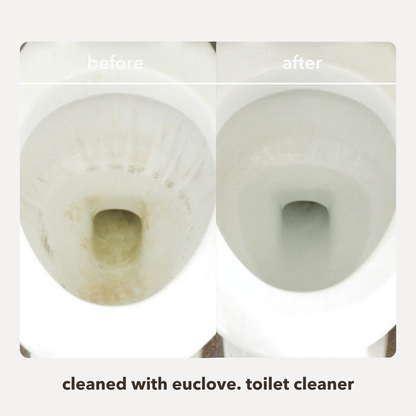 Natural Toilet Cleaner & odour remover