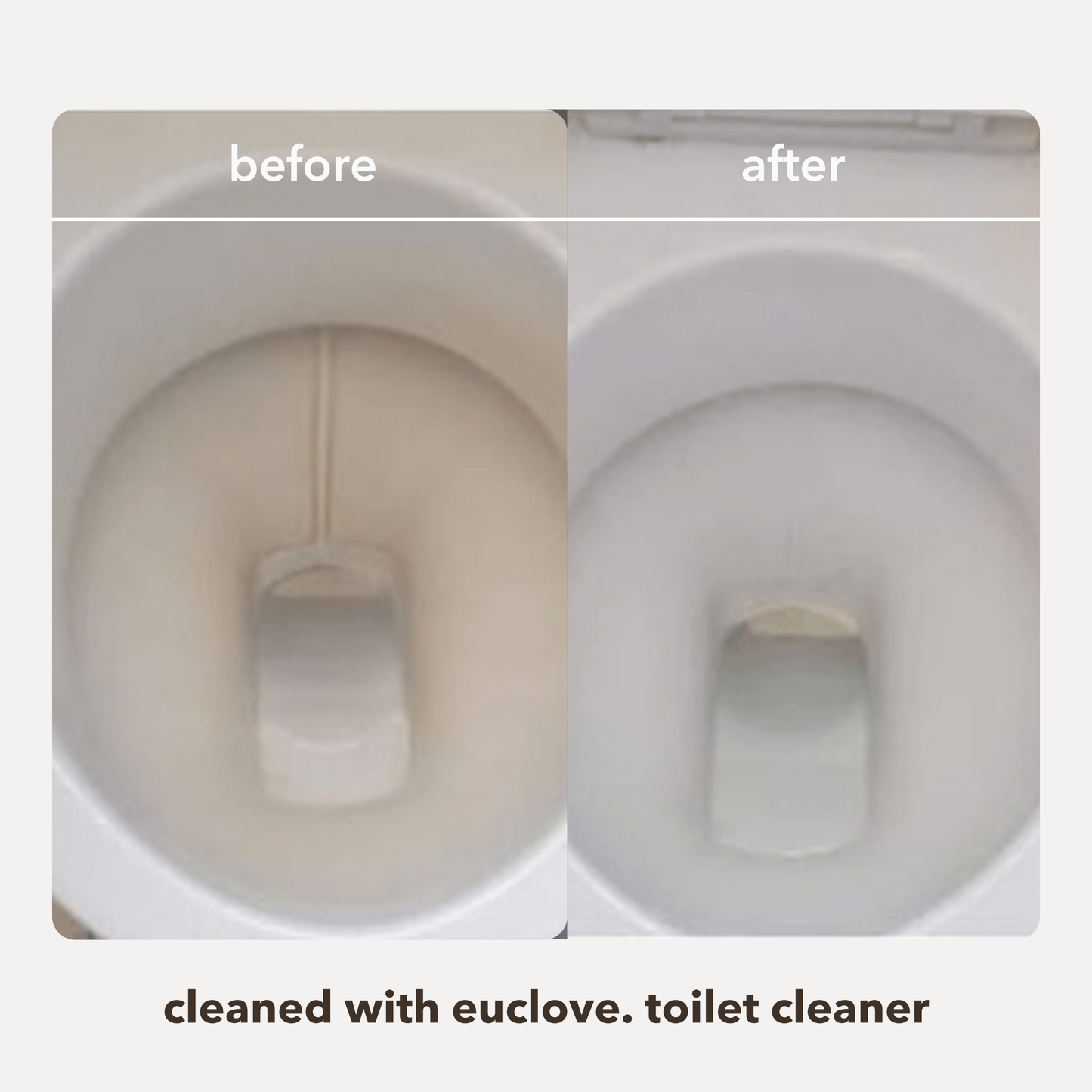 Natural Toilet Cleaner & odour remover