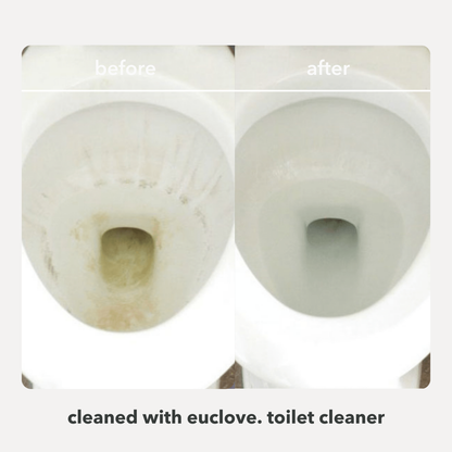 Natural Toilet, Bath & Sink Cleaner 5 Litre Refill & Value Pack