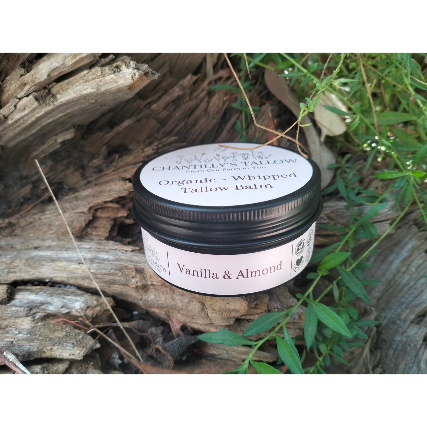 Vanilla & Almond Tallow Balm