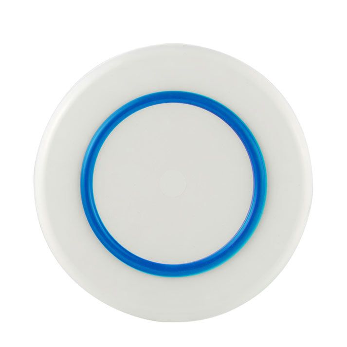 Palm Non-slip Forever Unbreakable Large Plate 25cm dia.