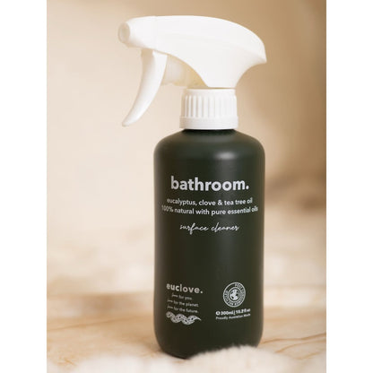 Bathroom Cleaner 5 Litre Refill & Value Pack